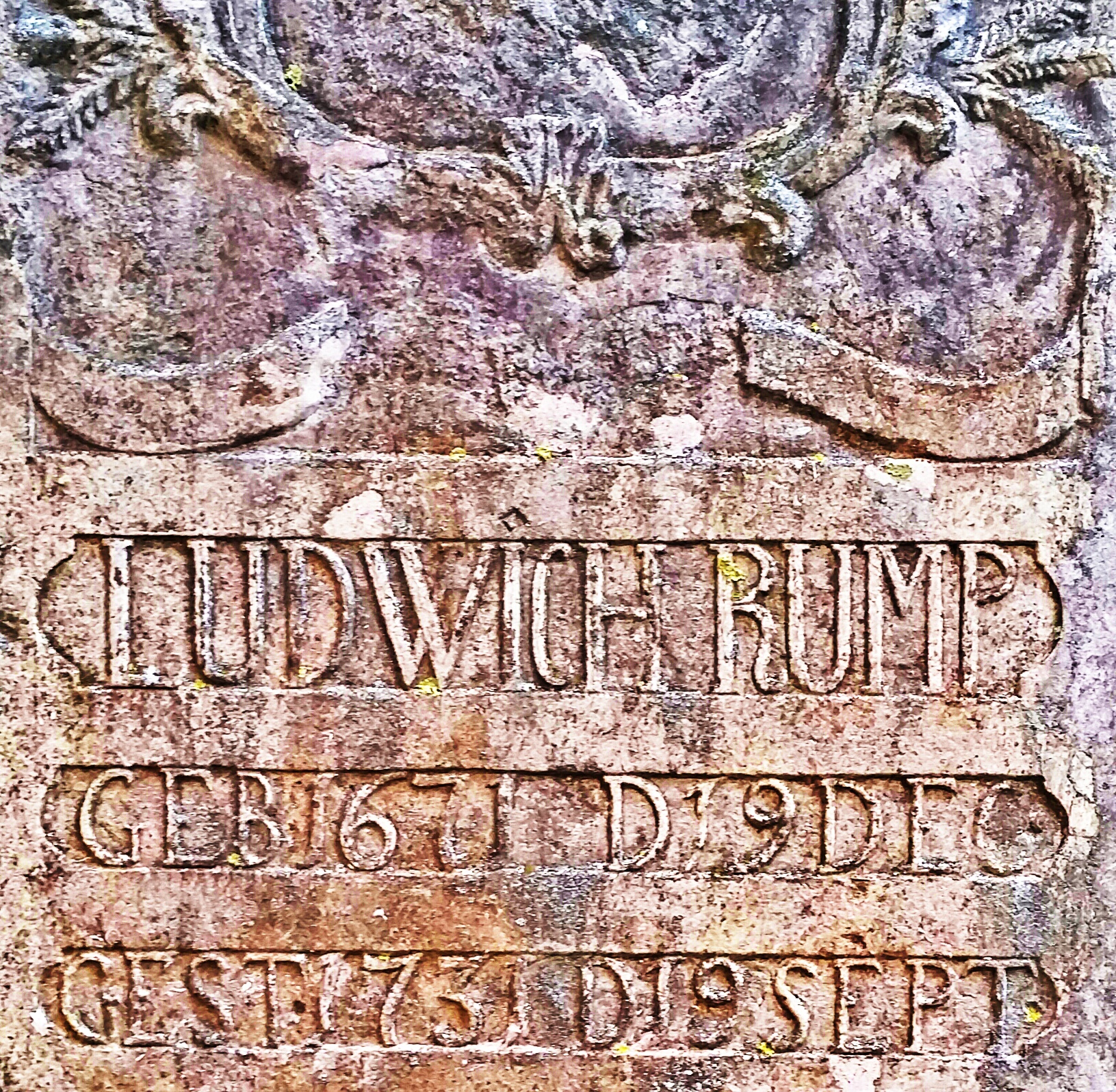 20141002_125052-1_1.jpg image