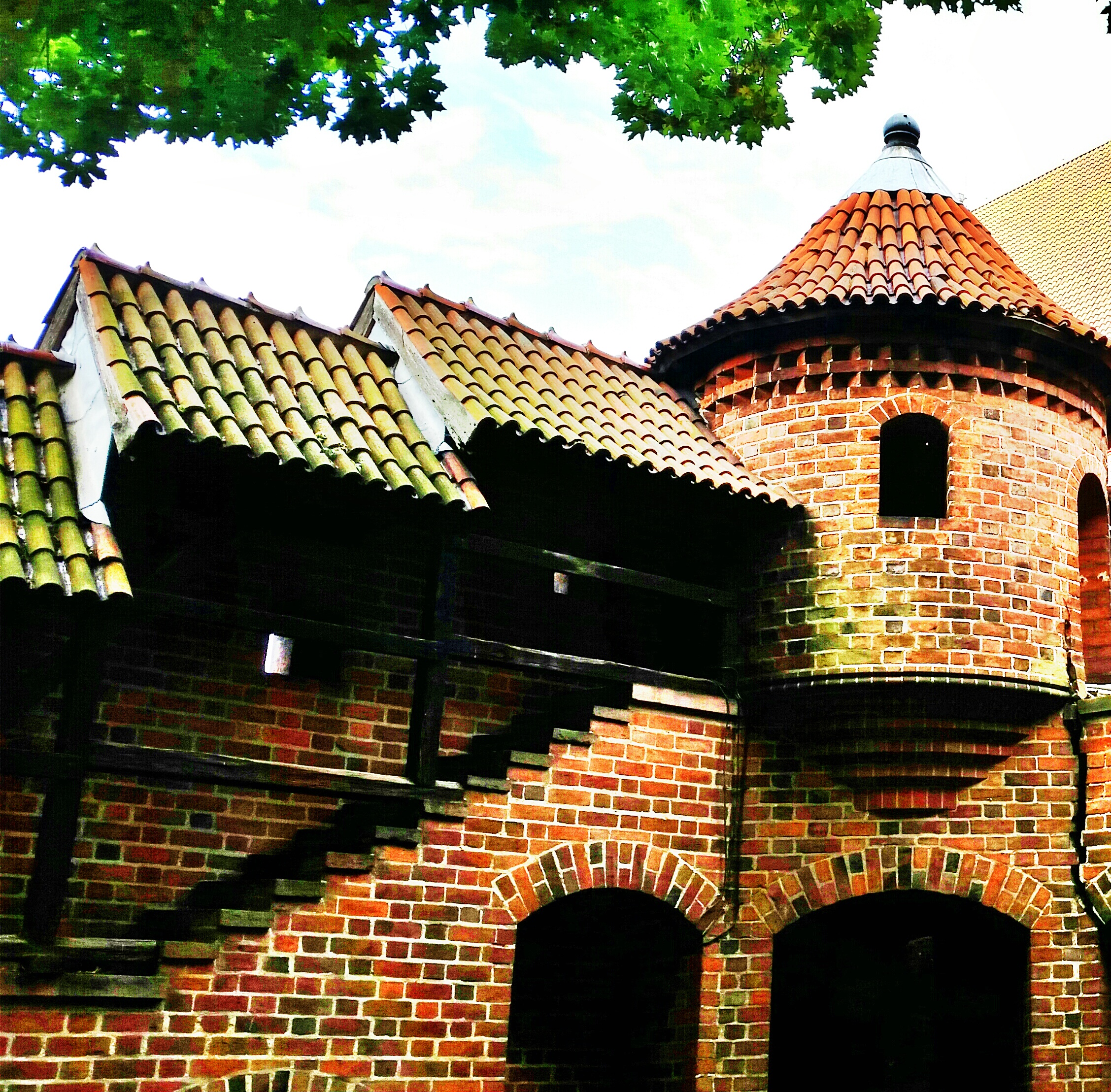 20141002_125322-1_1.jpg image