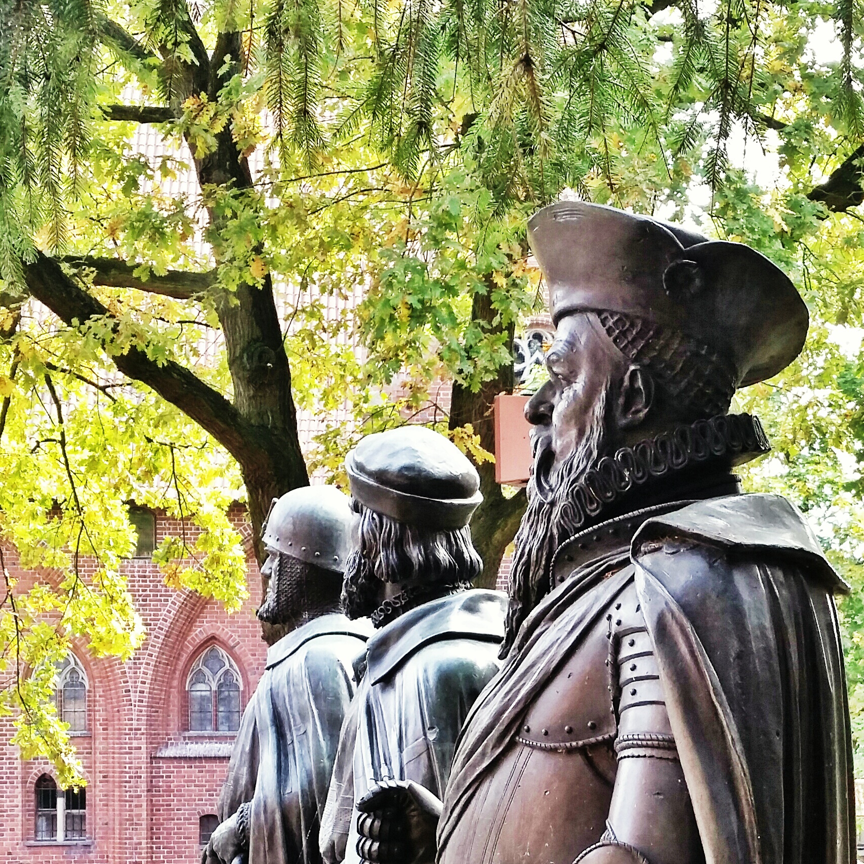 20141002_125528-1_1.jpg image