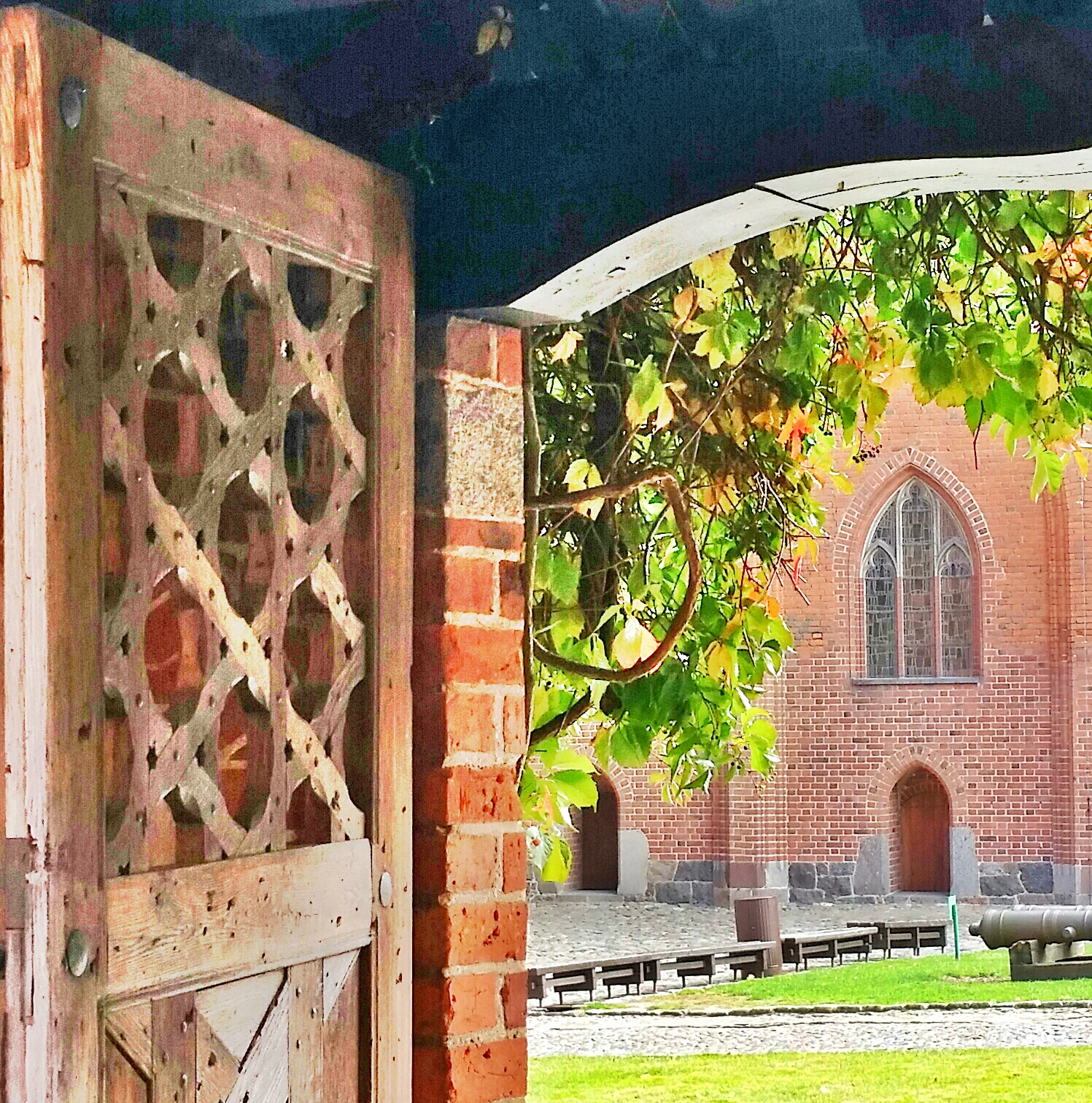 20141002_125753-1_1.jpg image