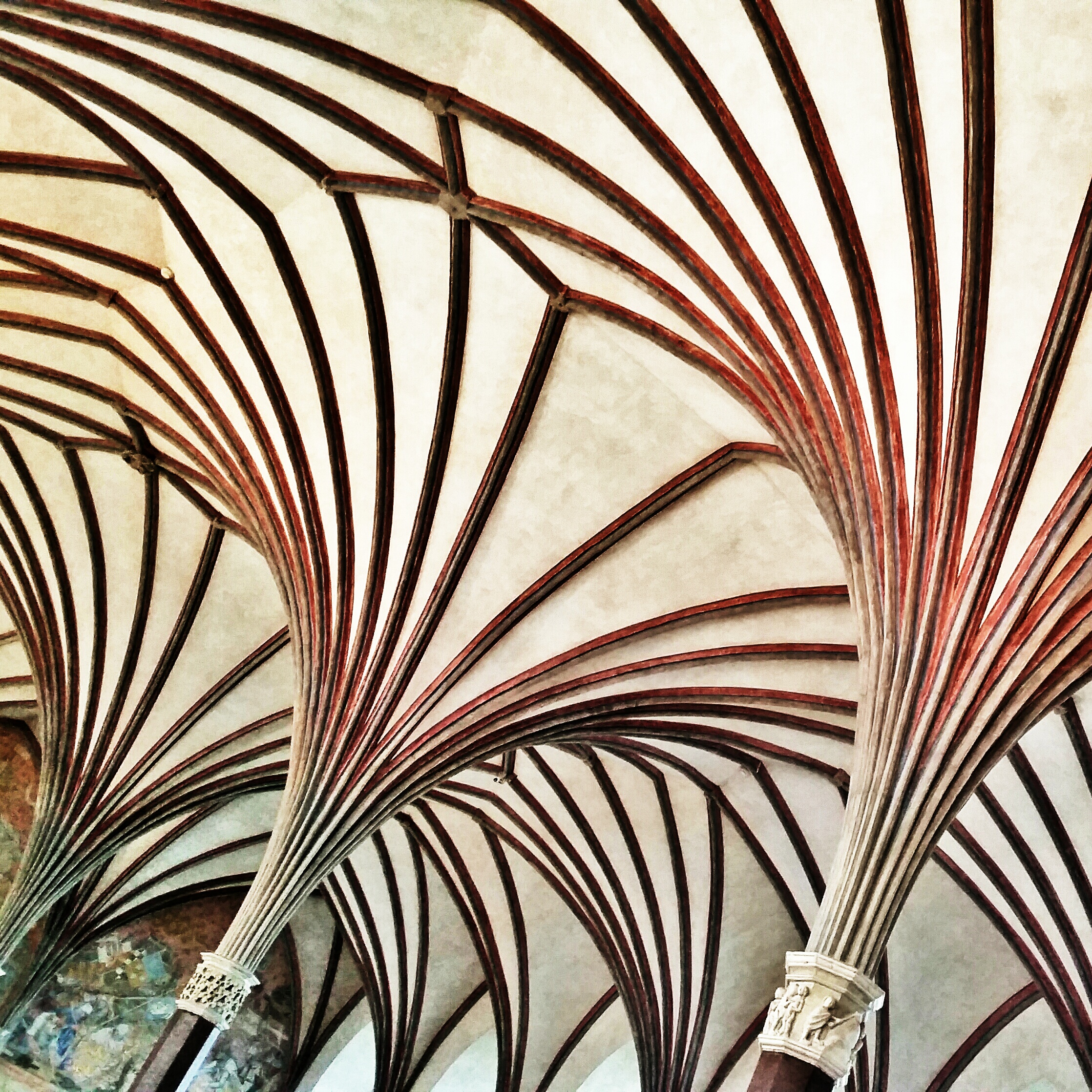 20141002_125929-1_1.jpg image