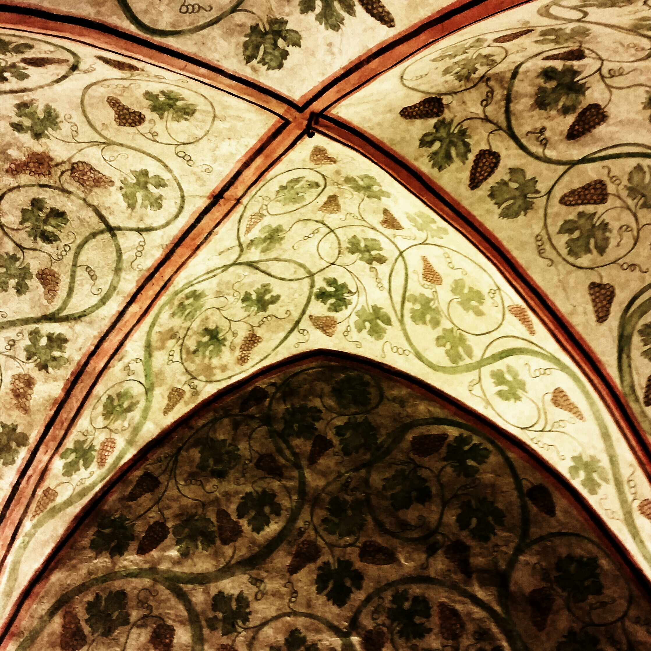 20141002_130256-1_1.jpg image