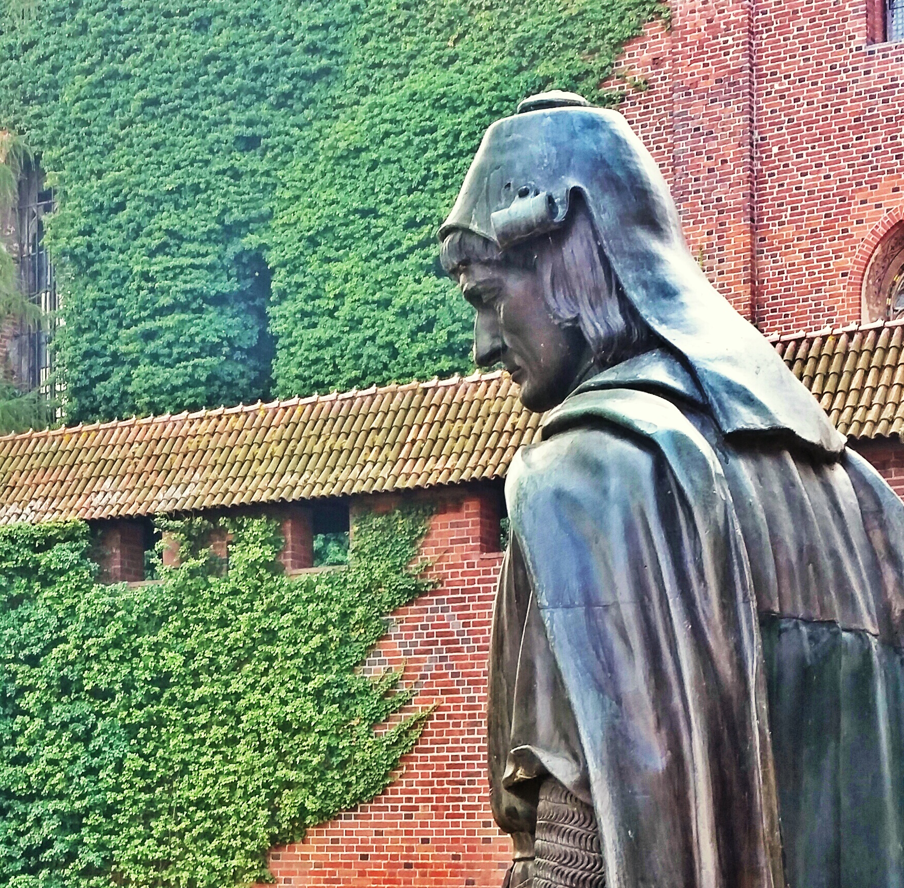 20141002_130956-1_1.jpg image