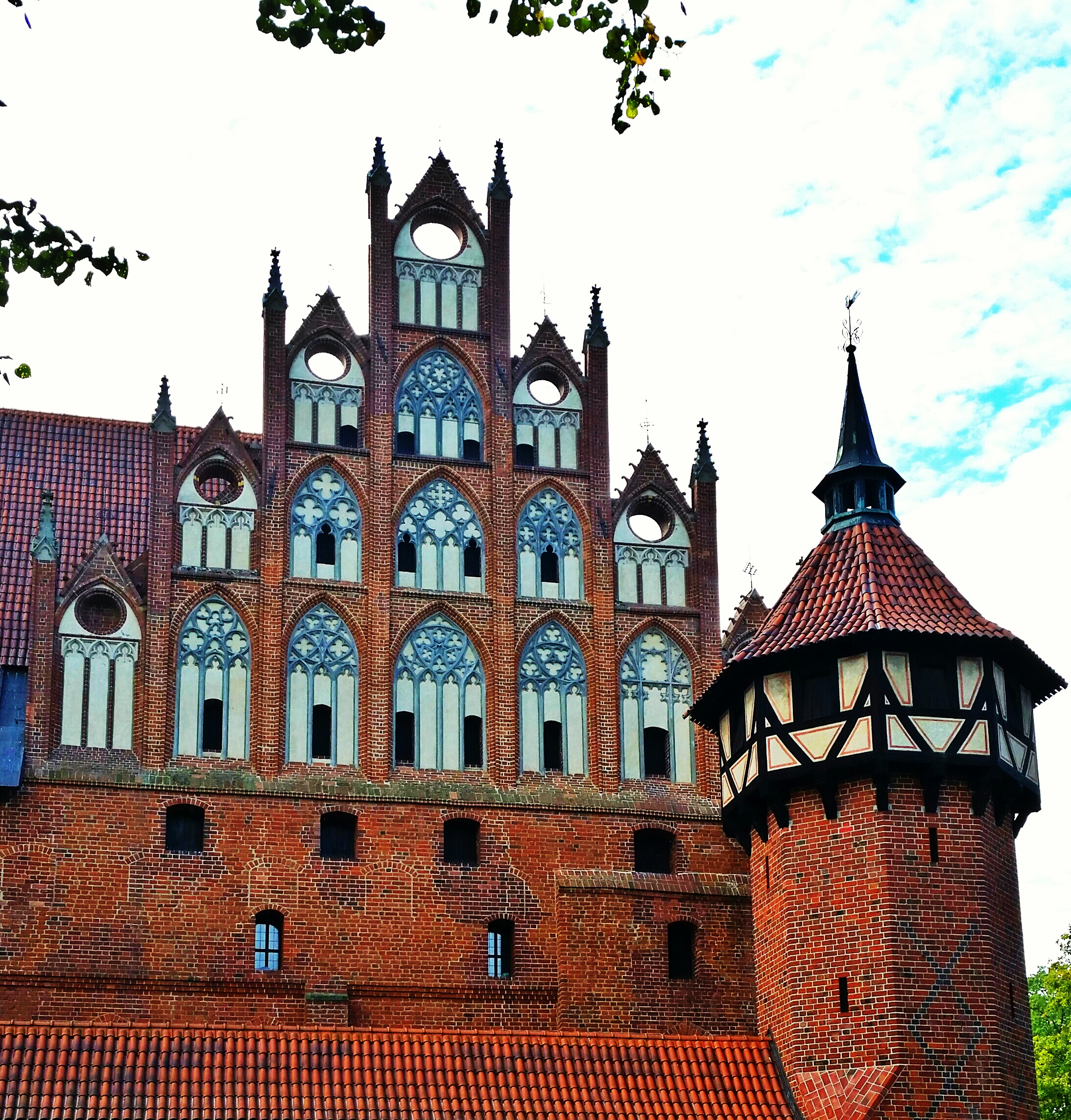 20141002_131248-1_1.jpg image