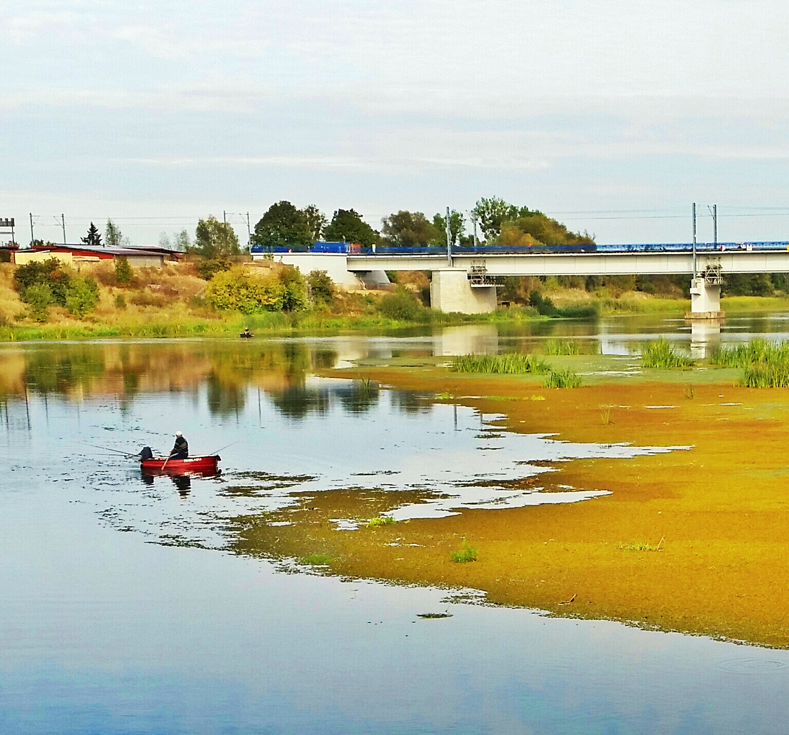 20141002_131609-1_1.jpg image