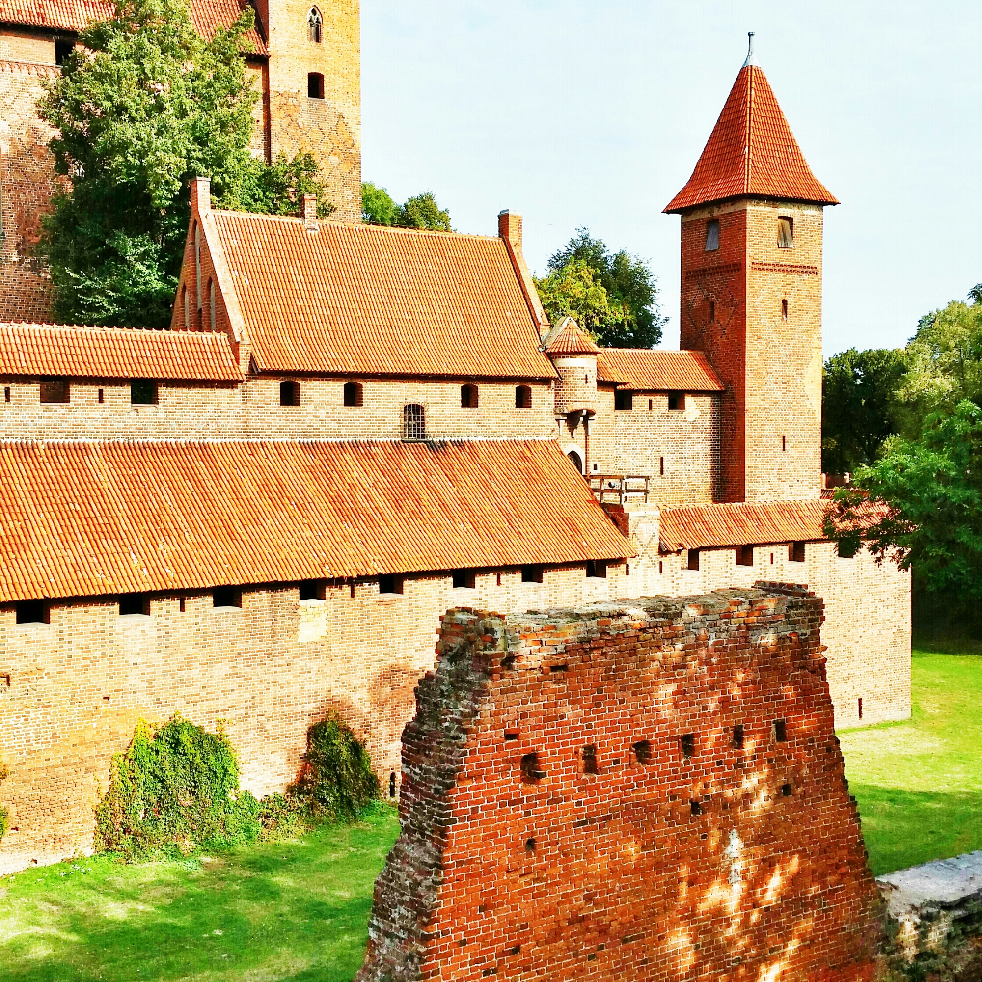 20141002_132636-1_1.jpg image