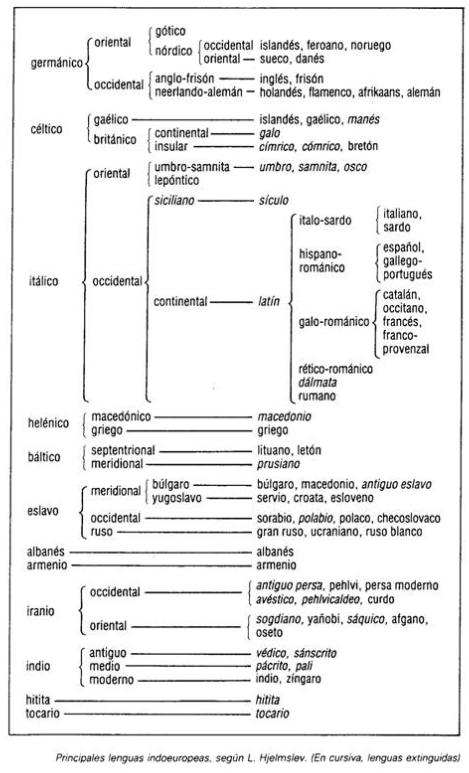 indoeuropeo.png image