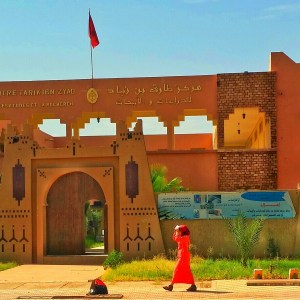 20150721_104644-1-01-1-1