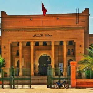 20150721_110703-1-01-1-1