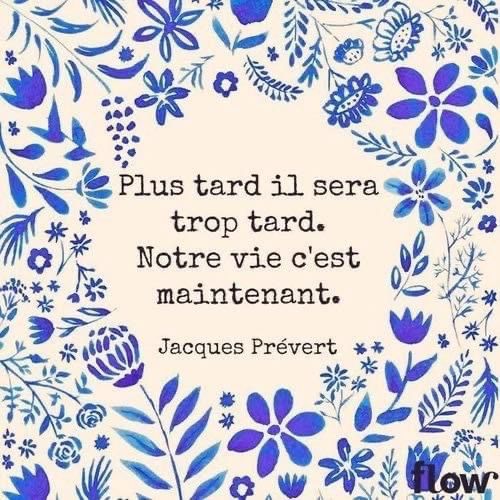 When job hunting or at work, these are the best templates for your&nbsp;e-mails!